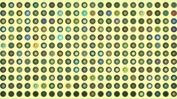 Lots of flashing dots with different colors. Motion. Disco dots flashing with different colors. Colorful mosaic dots with rings on solid background video