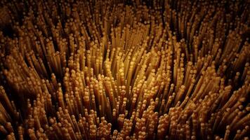 Abstract orange underwater seaweed in swaying motion, seamless loop. Design. Underwater algae organisms. video
