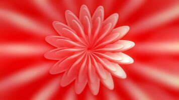 Rotating Flower Pattern. Motion. Beautiful 3d flower rotates and changes size. Centralized hypnotic flower rotates on colored background video