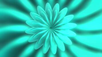 Rotating Flower Pattern. Motion. Beautiful 3d flower rotates and changes size. Centralized hypnotic flower rotates on colored background video