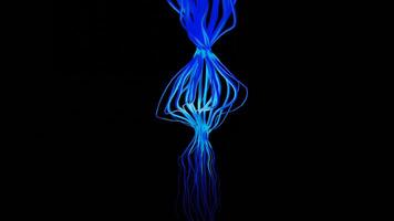 Abstract blue tentacles of an unknown creature. Design. Underwater swimming animal with blue feelers isolated on a black background. video