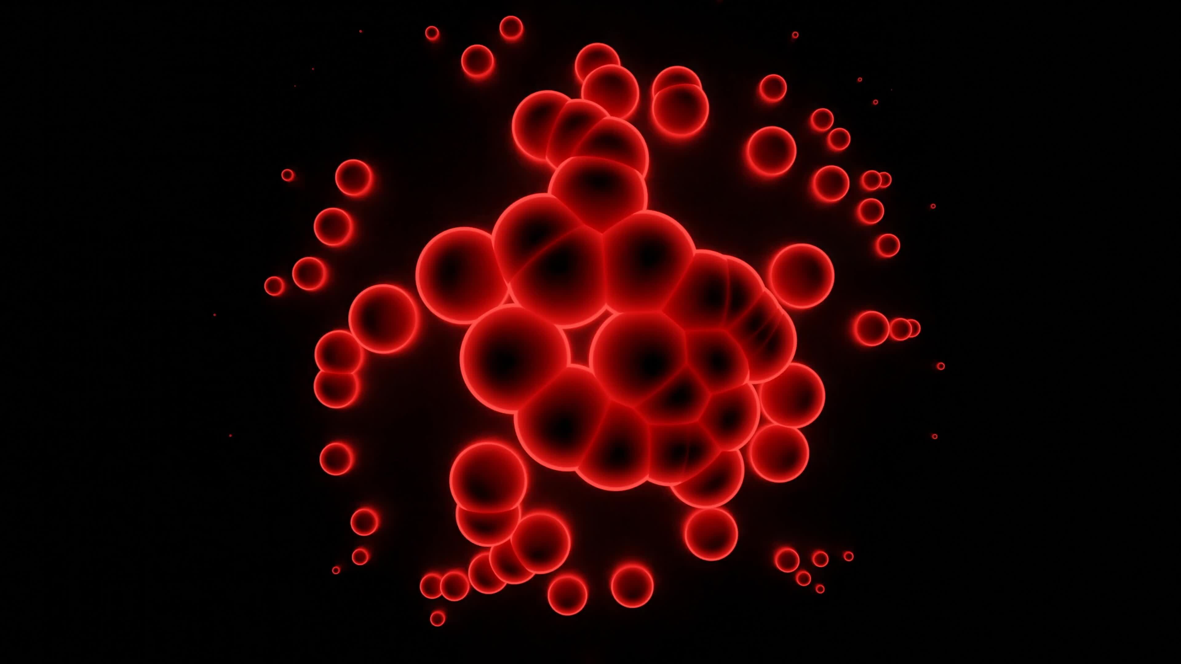 Animation of bacteria under microscope. Design. Microbes or infected ...