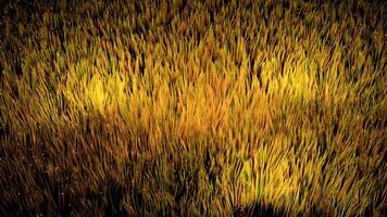 Yellow abstraction. Design. Bright yellow lines waver like grass in 3d. video