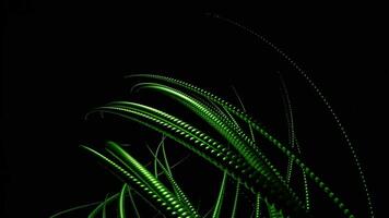 Black background.Design. Bright spiral lines of green color twist and disappear again. video