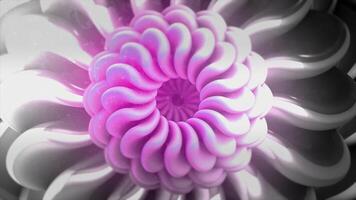 Abstract pink and silver fractal flower with moving petals. Motion. Beautiful hypnotic slow transformation of gradient flower, seamless loop. video