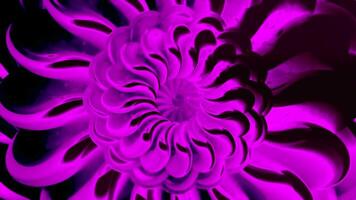 Surrealistic pink breathtaking opened flower bud creating an optical illusion effect, seamless loop. Motion. Spinning bright petals around the growing center. video