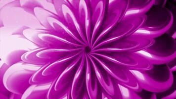 Surrealistic pink breathtaking opened flower bud creating an optical illusion effect, seamless loop. Motion. Spinning bright petals around the growing center. video