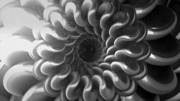 grau einfarbig Blumen- Spiral- Formen im geloopt animiert Hintergrund. Bewegung. verwandeln schwarz und Weiß Fraktale. video