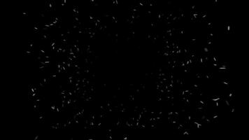 Moving stream of particles on black background. Animation. Slow tunnel stream is moving out of darkness. Rare confetti moves in tunnel stream video