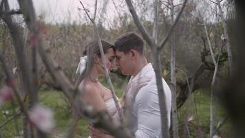 nozze sessione fotografica nel un' estate verde giardino. azione. bellissimo sposa e sposo amorevole coppia in posa insieme all'aperto. video