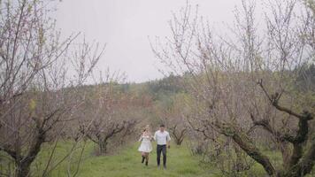 lindo casal corre através Primavera jardim. Ação. jovem casal corre ao longo natural Avenida do árvores dentro Primavera. casal corre em verde Relva entre Primavera árvores dentro nublado clima video