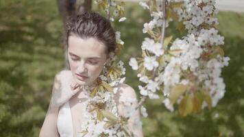 hermosa joven mujer con Cereza florecer sucursales. acción. poético imagen de hermosa mujer con floreciente manzana árbol. hermosa mujer en blanco vestir con floración árbol video