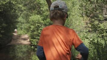 pojke promenader genom sommar skog. kreativ. pojke promenader ensam på skog spår på solig dag. gående i sommar skog video