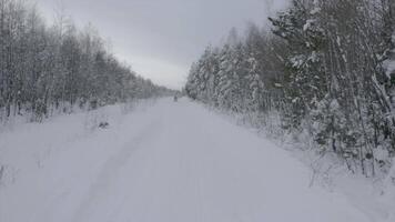 Snowmobile on winter forest highway. Clip. Beautiful winter road for extreme snowmobile driving. Extreme sports in winter video