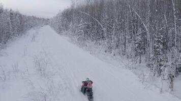 vinter- väg i de skog. klämma. en väg med en massa av snö på som en person rider på ett elektrisk snowcat Nästa till is gran träd video