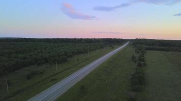 volador terminado un campo la carretera y verde campos, aéreo vista. acortar. interminable plano terreno cubierto por verano arbustos y césped en temprano puesta de sol cielo antecedentes. video