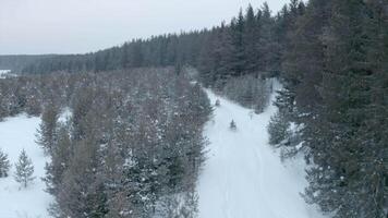 lopp av två snöskotrar. klämma. topp se av snabbrörlig snöskotrar i skog område. två snöskotrar är körning längs väg nära skog i vinter- video