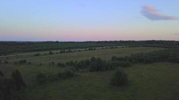 Summer landscape from a drone. Clip. A green field with small bushes next to the road on which one bus is traveling and behind a forest and a light slightly purple sky video