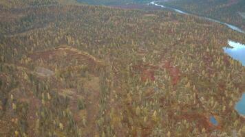 antenne visie van herfst kleurrijk Woud, meren en moerassen onder de bewolkt lucht. klem. heuvelachtig terrein, wild natuurlijk landschap, taiga, Rusland. video