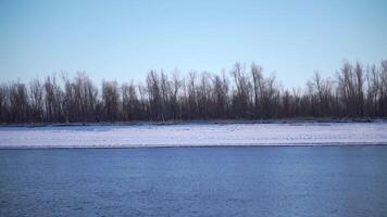 Shoreline of river with ice in spring. Clip. Beautiful beach with water and ice on winter day. River with ice near shore on sunny winter day video