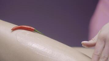 Applying body mask with hot chilly pepper, concept of body care. Action. Close up of female cosmetologist hand during beauty procedure at the salon. video