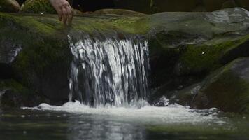 Hand in small river waterfall. Creative. Man of refreshing river waterfall in forest. Small river threshold in jungle video