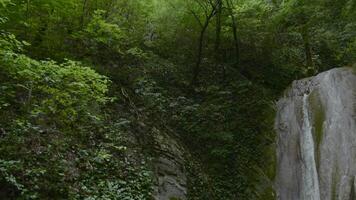 Beautiful waterfall on rock in jungle. Creative. High narrow waterfall falls from cliff in jungle. Natural waterfalls in green jungle video