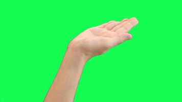 mano en verde fondo, verde pantalla de mano video