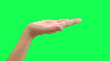 Hand on green background, green screen of hand video