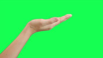 Hand on green background, green screen of hand video