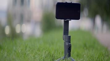 Modern smartphone fixed in tripod on a summer day outdoors. Action. A tripod with a phone standing on meadow green grass on blurred city street background. video