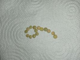 numbers are made out off beans photo