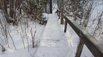 velocemente discendente un vecchio nevoso di legno scala su il collina durante un' mattina nel Scandinavia video