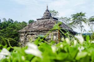 antiguo templo en arqueológico sitio en Indonesia naturaleza foto