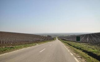 vino país la carretera viaje, un pintoresco imagen de un devanado la carretera mediante viñedos, atractivo espectadores a embarcar en un escénico vino país la carretera viaje foto