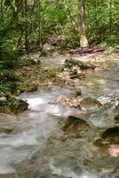 Mountain stream in the forest - long exposure and flowing water photo