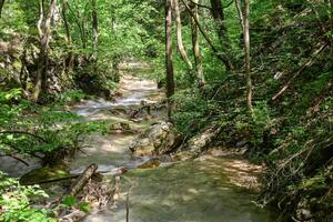 Mountain stream in the forest - long exposure and flowing water photo