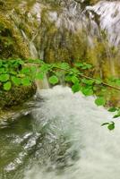 Mountain stream in the forest - long exposure and flowing water photo