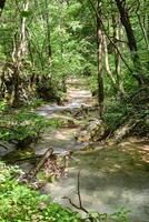 Mountain stream in the forest - long exposure and flowing water photo