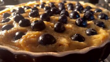 Homemade blueberry shortcrust cake baking in the oven, holiday bake recipe and cottage kitchen food dessert video