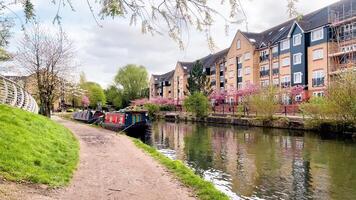 Beautiful pink blooming trees lining a residential area along the tranquil canal in Apsley, creating a picturesque spring scene in Hertfordshire countryside, England, United Kingdom video