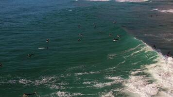 Aerial top view surfers on ocean waiting for wave, flyover shot video