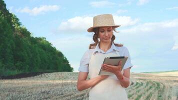 vrouw agronoom gebruik makend van digitaal tablet terwijl staand Aan boerderij video