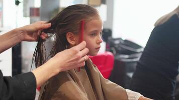 Female hairdresser combing hair of girl in salon video