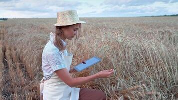 weiblich Agronom Analysieren Pflanzen während mit Tablette auf Bauernhof video