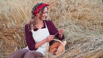 Woman baker with wicker basket breads sitting on wheat field video