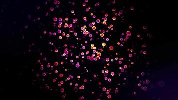 Many small circles of pink color moving chaotically on black background, seamless loop. Animation. Bokeh pattern, colorful cloud of swaying partiles. video