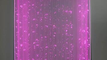 leuchtend Lampe mit Wasser und Blasen. Clip. faszinierend Mauer Dekor mit glühend Lampe und Blasen. ziehen um Wasser Luftblasen im Neon- Lampe auf Mauer video