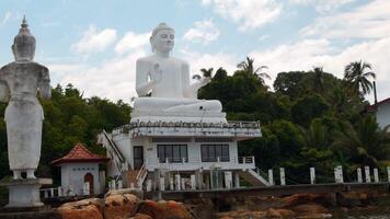 Bouddha statues dans rivière village. action. blanc Bouddha statues dans tropical rivière village. magnifique blanc Bouddha statues sur banques de tropical rivière video