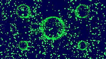 Circles background animation. Design. Green tiny particles and rings. video